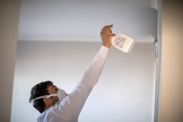 Best Home Mold Removal  in Pinellas Park, FL